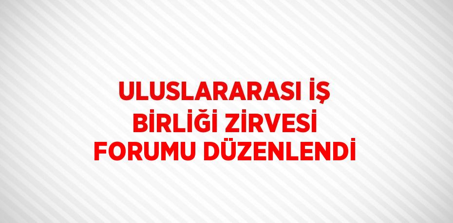 ULUSLARARASI İŞ BİRLİĞİ ZİRVESİ FORUMU DÜZENLENDİ