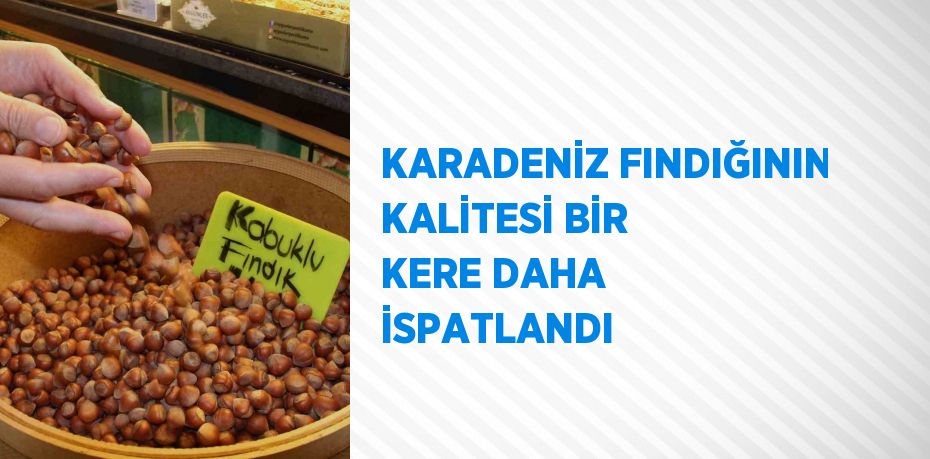 KARADENİZ FINDIĞININ KALİTESİ BİR KERE DAHA İSPATLANDI