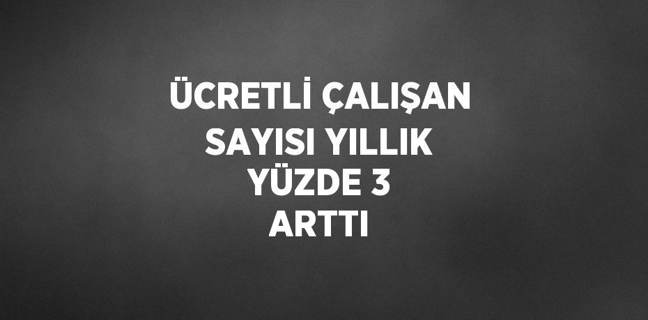 ÜCRETLİ ÇALIŞAN SAYISI YILLIK YÜZDE 3 ARTTI