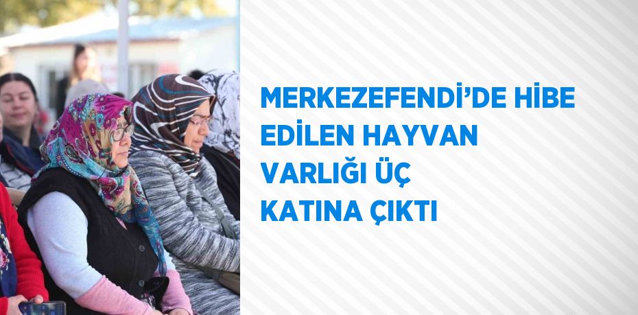 MERKEZEFENDİ’DE HİBE EDİLEN HAYVAN VARLIĞI ÜÇ KATINA ÇIKTI