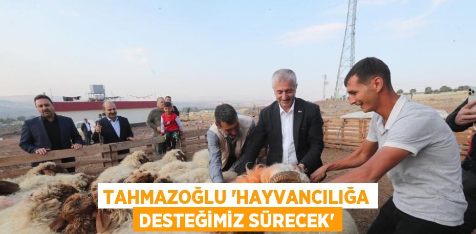 TAHMAZOĞLU 'HAYVANCILIĞA DESTEĞİMİZ SÜRECEK'