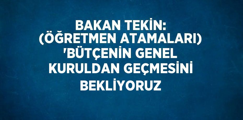 BAKAN TEKİN: (ÖĞRETMEN ATAMALARI) 'BÜTÇENİN GENEL KURULDAN GEÇMESİNİ BEKLİYORUZ