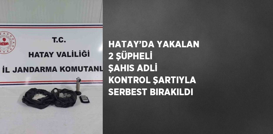 HATAY’DA YAKALAN 2 ŞÜPHELİ ŞAHIS ADLİ KONTROL ŞARTIYLA SERBEST BIRAKILDI