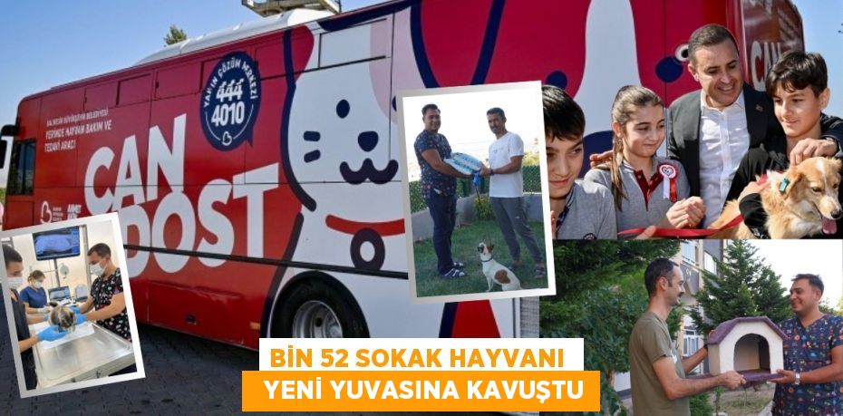 BİN 52 SOKAK HAYVANI    YENİ YUVASINA KAVUŞTU