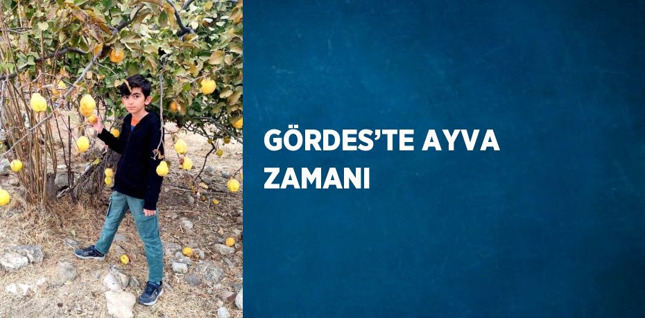 GÖRDES’TE AYVA ZAMANI