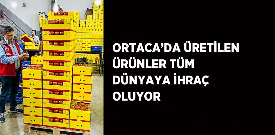 ORTACA’DA ÜRETİLEN ÜRÜNLER TÜM DÜNYAYA İHRAÇ OLUYOR