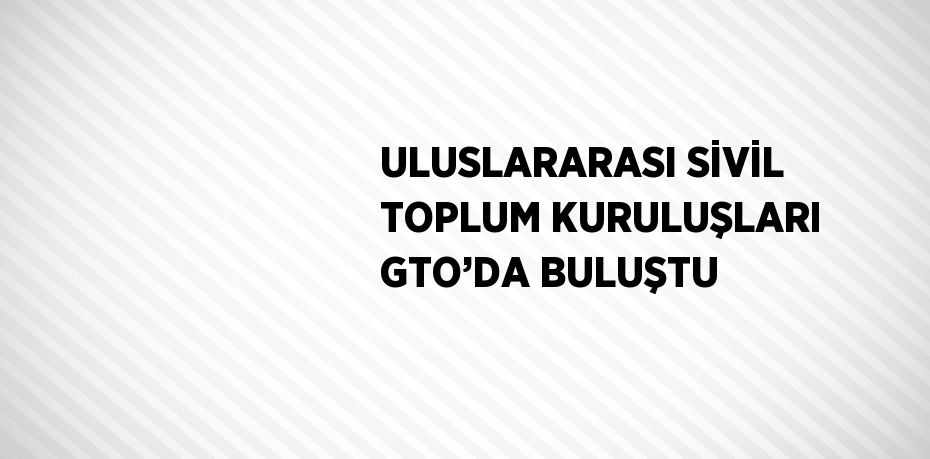 ULUSLARARASI SİVİL TOPLUM KURULUŞLARI GTO’DA BULUŞTU