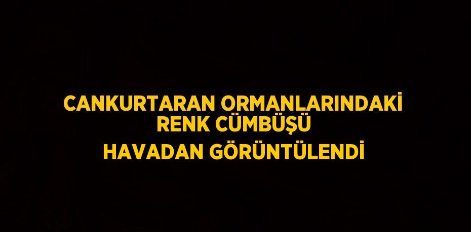 CANKURTARAN ORMANLARINDAKİ RENK CÜMBÜŞÜ HAVADAN GÖRÜNTÜLENDİ