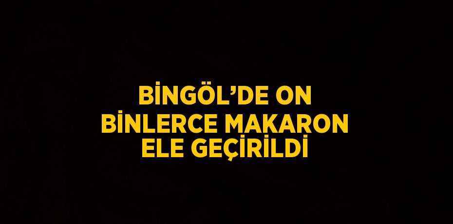 BİNGÖL’DE ON BİNLERCE MAKARON ELE GEÇİRİLDİ