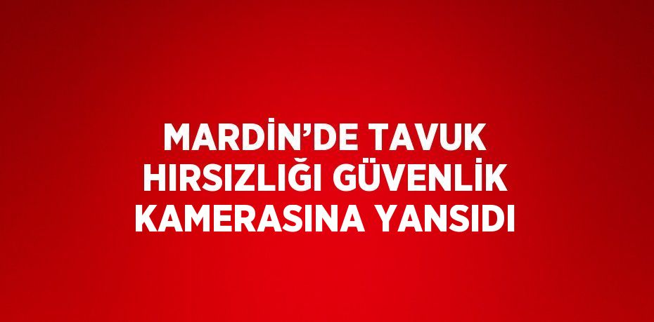 MARDİN’DE TAVUK HIRSIZLIĞI GÜVENLİK KAMERASINA YANSIDI