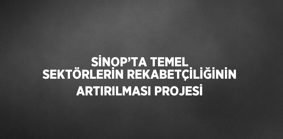 SİNOP’TA TEMEL SEKTÖRLERİN REKABETÇİLİĞİNİN ARTIRILMASI PROJESİ