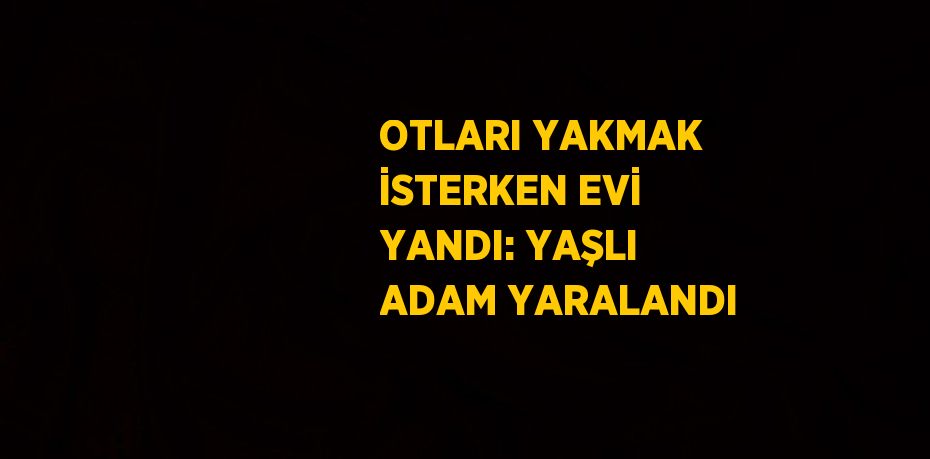 OTLARI YAKMAK İSTERKEN EVİ YANDI: YAŞLI ADAM YARALANDI