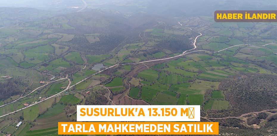 Susurluk'a 13.150 m² tarla mahkemeden satılık