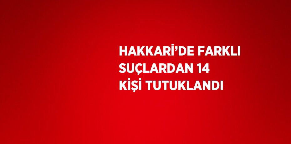 HAKKARİ’DE FARKLI SUÇLARDAN 14 KİŞİ TUTUKLANDI