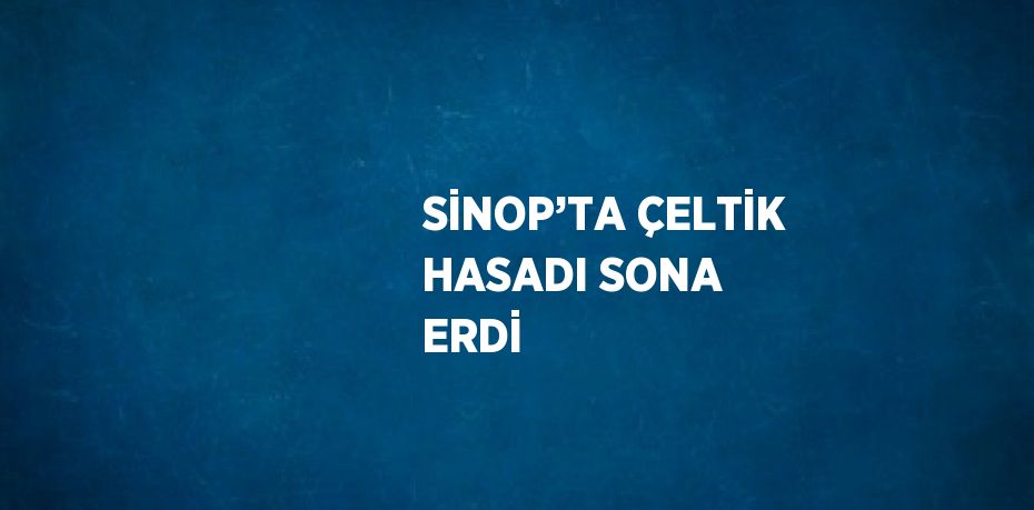 SİNOP’TA ÇELTİK HASADI SONA ERDİ