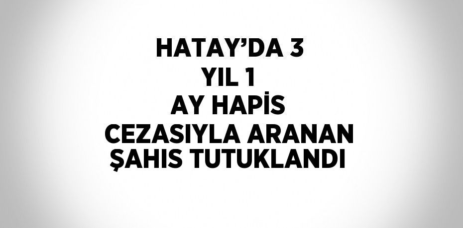 HATAY’DA 3 YIL 1 AY HAPİS CEZASIYLA ARANAN ŞAHIS TUTUKLANDI