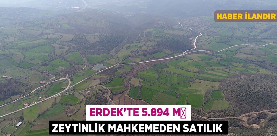 Erdek'te 5.894 m² zeytinlik mahkemeden satılık