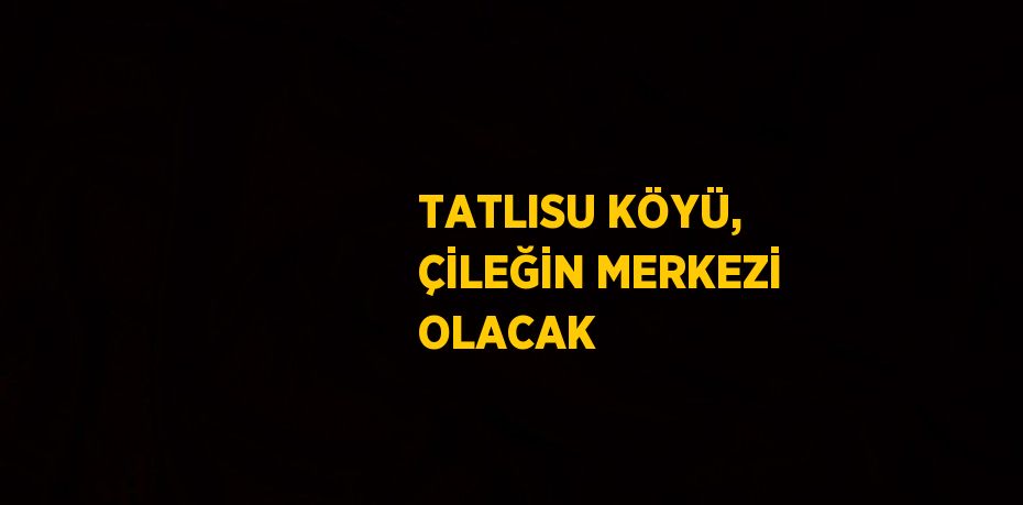 TATLISU KÖYÜ, ÇİLEĞİN MERKEZİ OLACAK