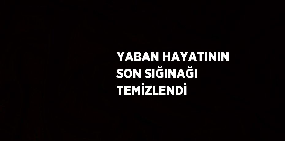 YABAN HAYATININ SON SIĞINAĞI TEMİZLENDİ