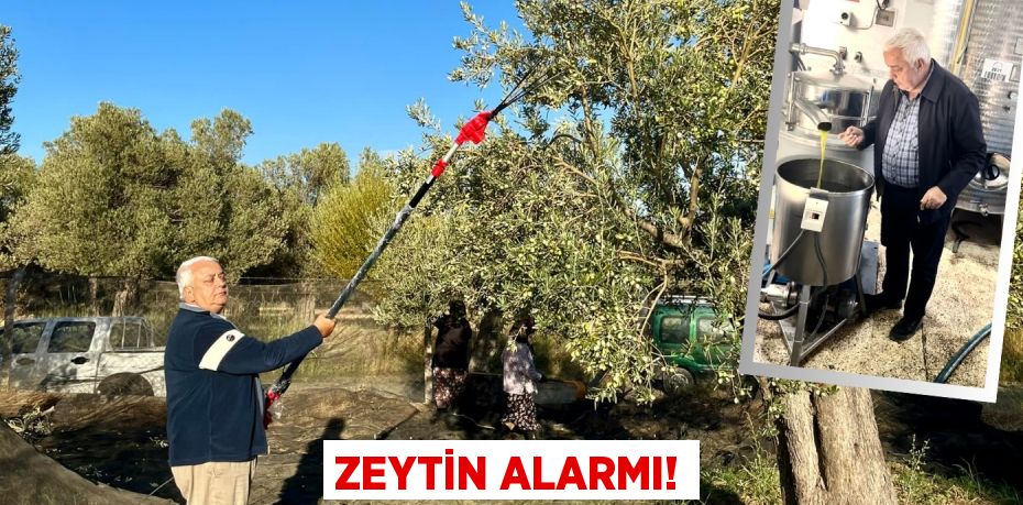 ZEYTİN ALARMI!