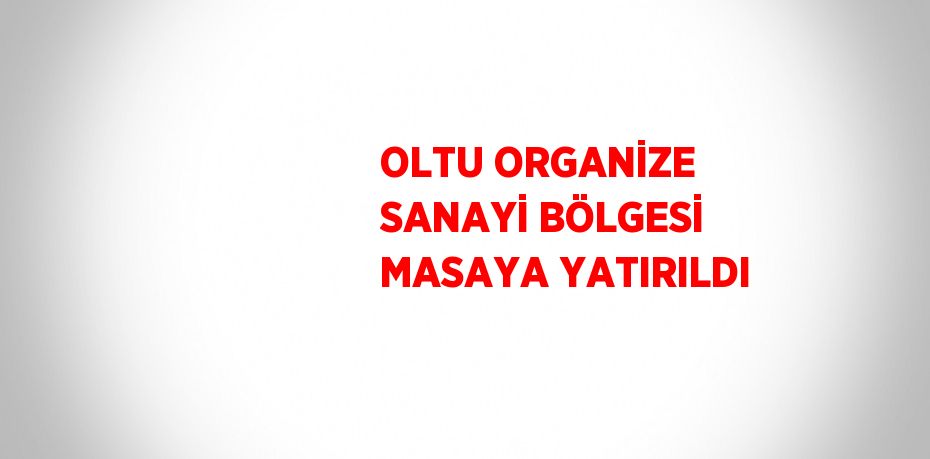 OLTU ORGANİZE SANAYİ BÖLGESİ MASAYA YATIRILDI