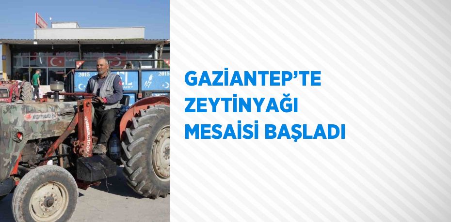 GAZİANTEP’TE ZEYTİNYAĞI MESAİSİ BAŞLADI