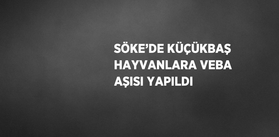 SÖKE’DE KÜÇÜKBAŞ HAYVANLARA VEBA AŞISI YAPILDI