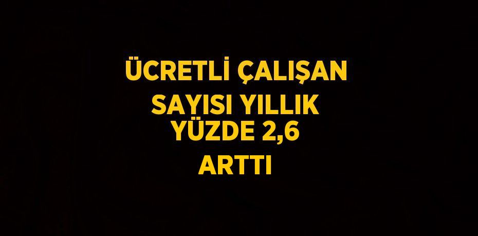 ÜCRETLİ ÇALIŞAN SAYISI YILLIK YÜZDE 2,6 ARTTI