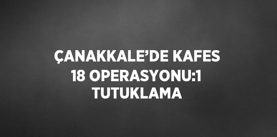 ÇANAKKALE’DE KAFES 18 OPERASYONU:1 TUTUKLAMA