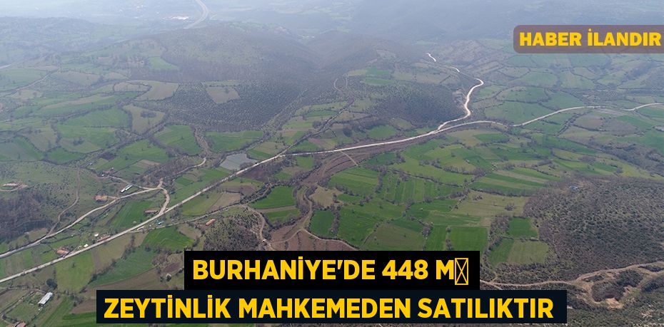 Burhaniye'de 448 m² zeytinlik mahkemeden satılıktır