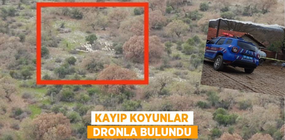 KAYIP KOYUNLAR  DRONLA BULUNDU