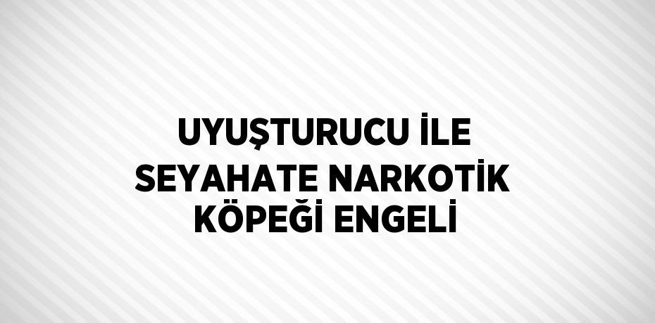 UYUŞTURUCU İLE SEYAHATE NARKOTİK KÖPEĞİ ENGELİ