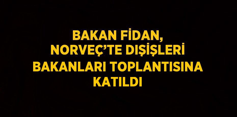 BAKAN FİDAN, NORVEÇ’TE DIŞİŞLERİ BAKANLARI TOPLANTISINA KATILDI