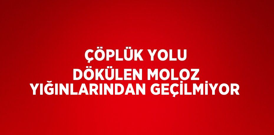 ÇÖPLÜK YOLU DÖKÜLEN MOLOZ YIĞINLARINDAN GEÇİLMİYOR