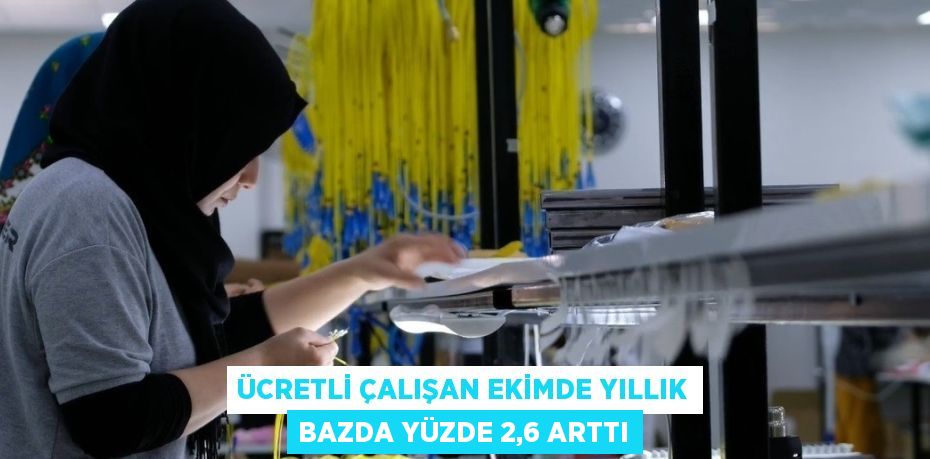 ÜCRETLİ ÇALIŞAN EKİMDE YILLIK BAZDA YÜZDE 2,6 ARTTI