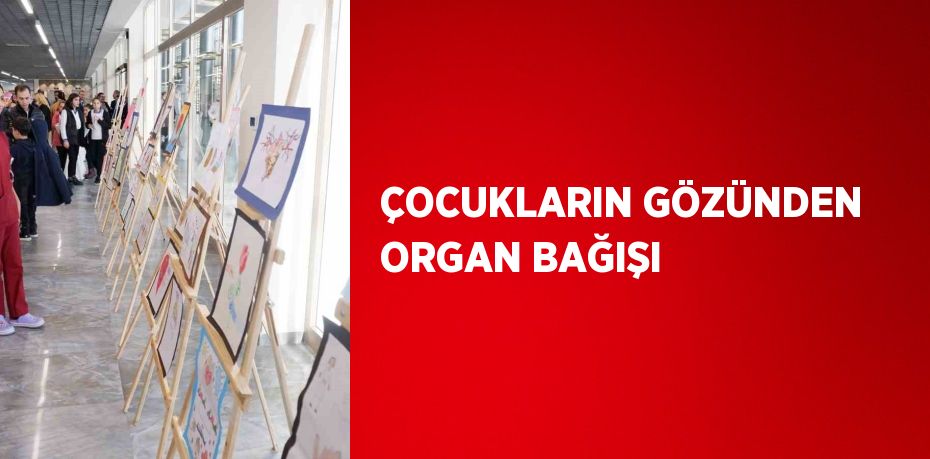 ÇOCUKLARIN GÖZÜNDEN ORGAN BAĞIŞI