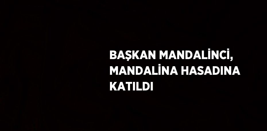 BAŞKAN MANDALİNCİ, MANDALİNA HASADINA KATILDI