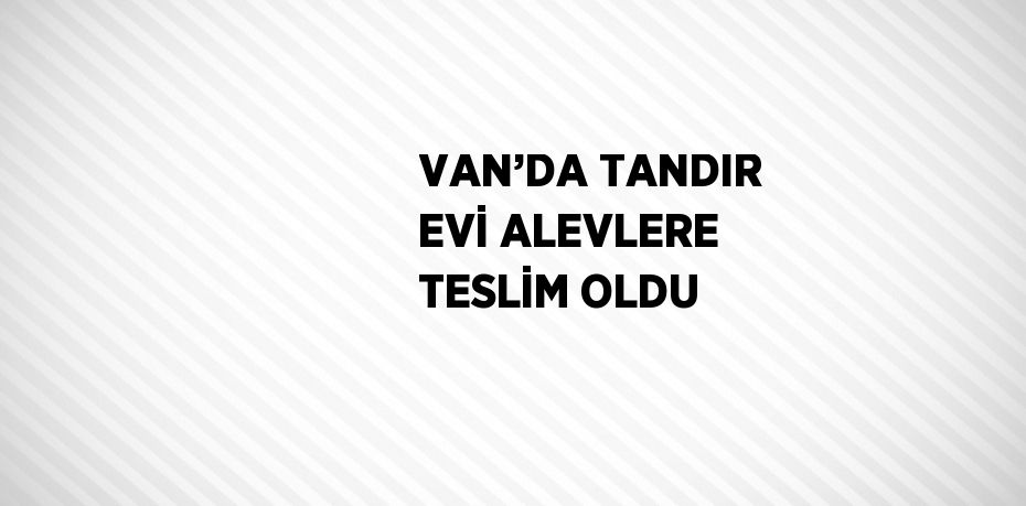 VAN’DA TANDIR EVİ ALEVLERE TESLİM OLDU