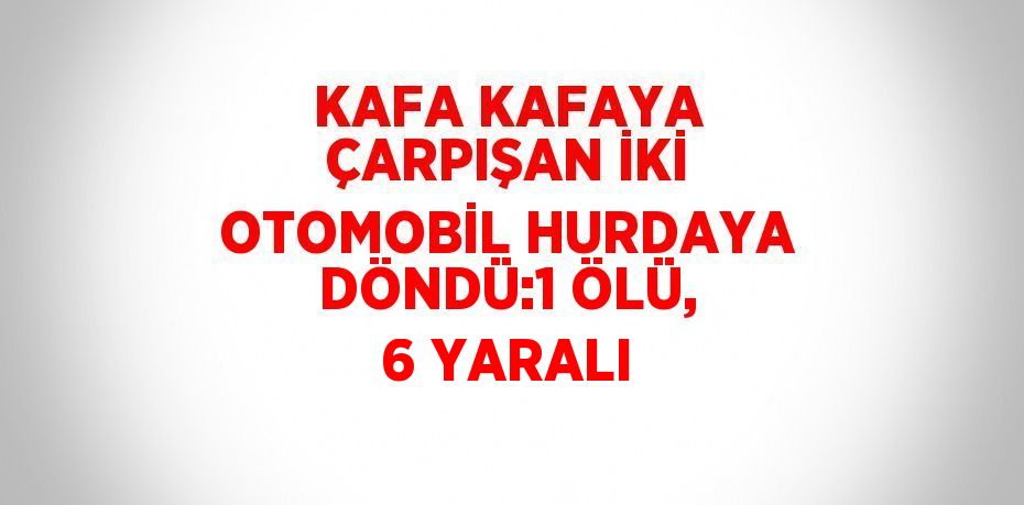 KAFA KAFAYA ÇARPIŞAN İKİ OTOMOBİL HURDAYA DÖNDÜ:1 ÖLÜ, 6 YARALI