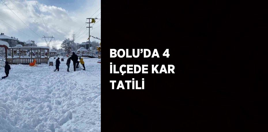 BOLU’DA 4 İLÇEDE KAR TATİLİ