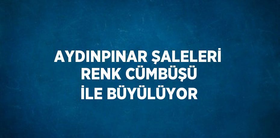 AYDINPINAR ŞALELERİ RENK CÜMBÜŞÜ İLE BÜYÜLÜYOR