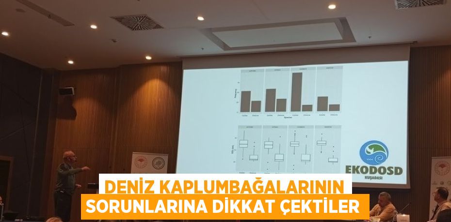 DENİZ KAPLUMBAĞALARININ SORUNLARINA DİKKAT ÇEKTİLER