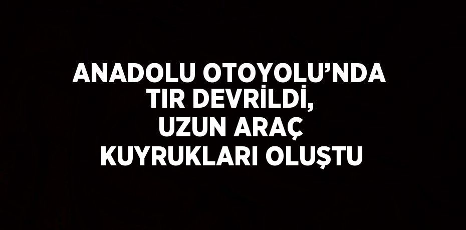 ANADOLU OTOYOLU’NDA TIR DEVRİLDİ, UZUN ARAÇ KUYRUKLARI OLUŞTU