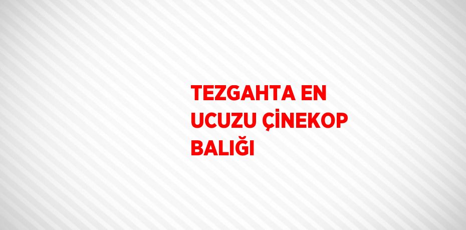 TEZGAHTA EN UCUZU ÇİNEKOP BALIĞI