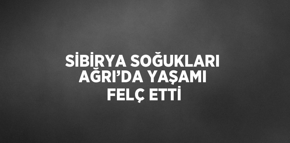 SİBİRYA SOĞUKLARI AĞRI’DA YAŞAMI FELÇ ETTİ