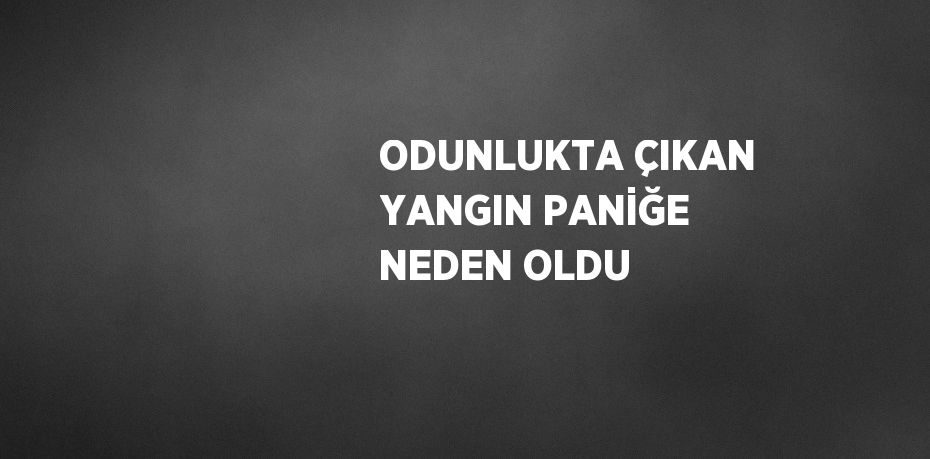 ODUNLUKTA ÇIKAN YANGIN PANİĞE NEDEN OLDU