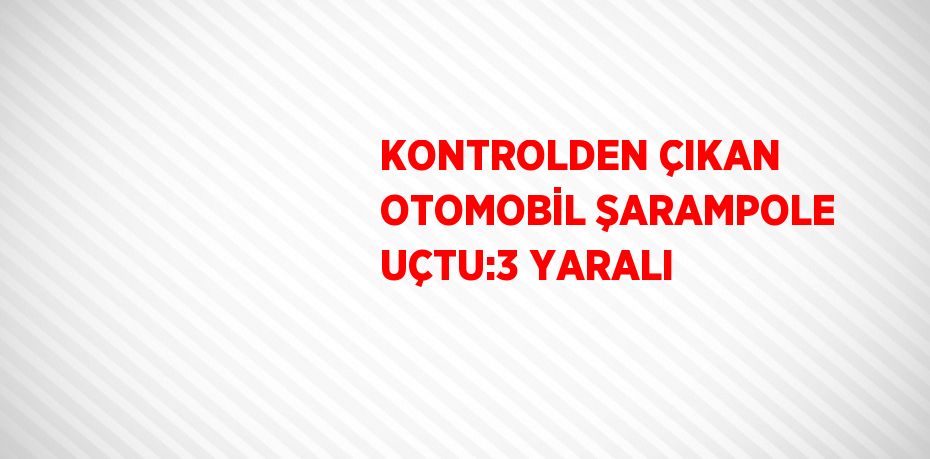 KONTROLDEN ÇIKAN OTOMOBİL ŞARAMPOLE UÇTU:3 YARALI