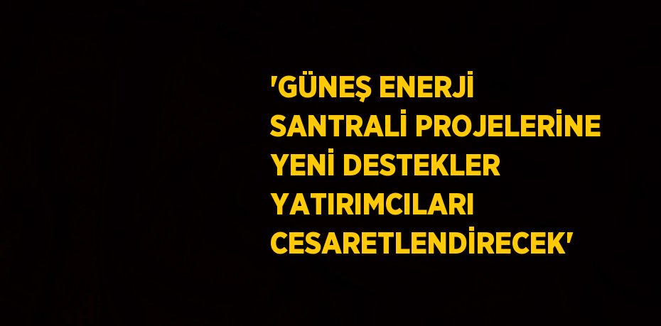 'GÜNEŞ ENERJİ SANTRALİ PROJELERİNE YENİ DESTEKLER YATIRIMCILARI CESARETLENDİRECEK'