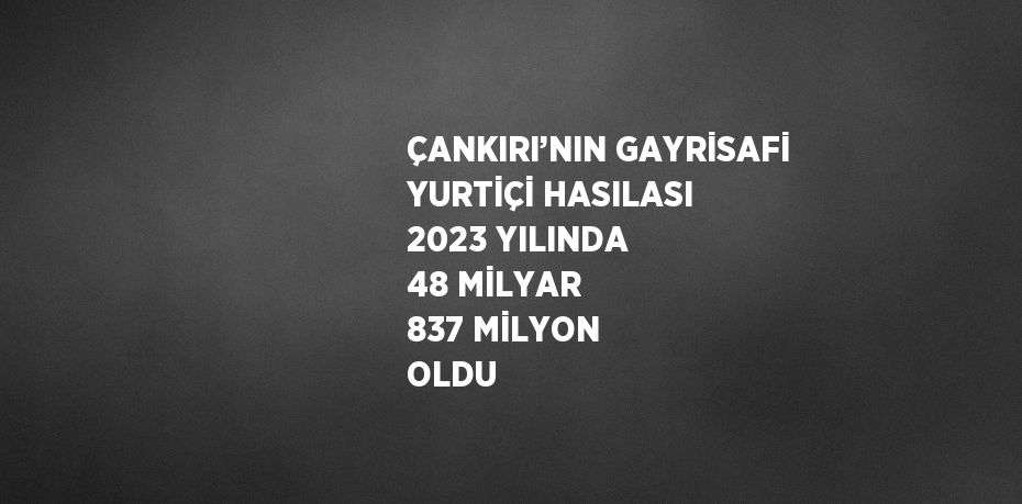 ÇANKIRI’NIN GAYRİSAFİ YURTİÇİ HASILASI 2023 YILINDA 48 MİLYAR 837 MİLYON OLDU