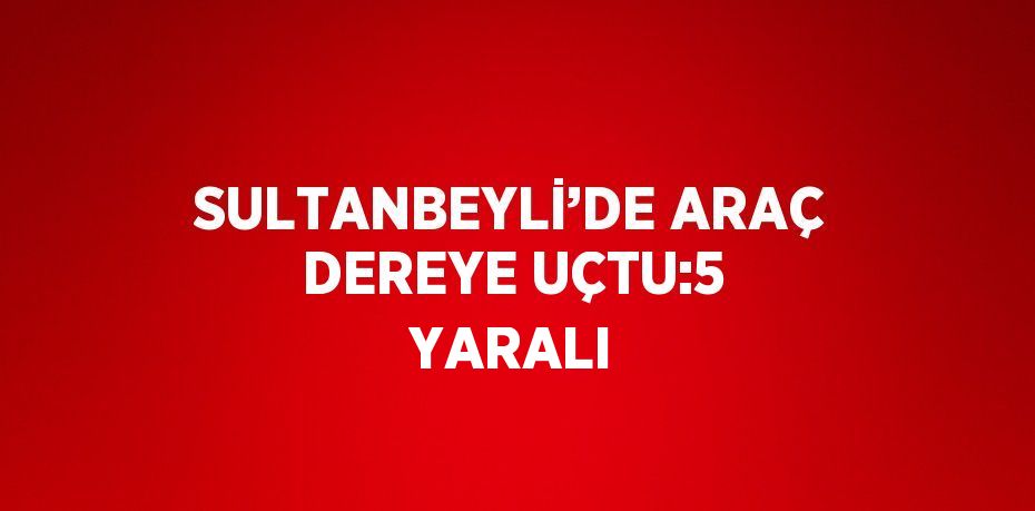 SULTANBEYLİ’DE ARAÇ DEREYE UÇTU:5 YARALI